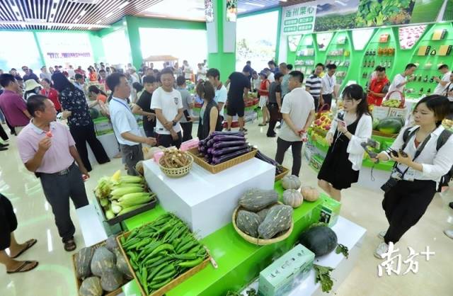 連州土壤硒含量豐富，富硒農(nóng)特產(chǎn)品吸引了眾人關(guān)注的目光。梁素雅 攝