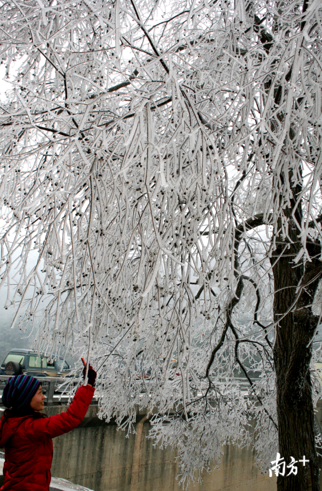 今冬的首場寒潮將于12月29日下午襲擊連州，最冷零下5度，提醒群眾做好御寒準備。黃津 攝