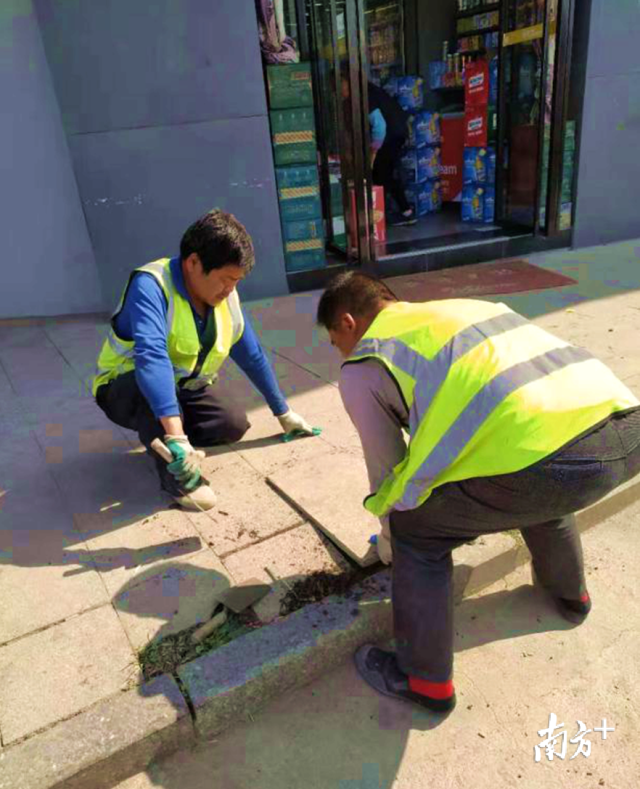 對(duì)北山路、南門(mén)大道等地段損壞路面進(jìn)行修復(fù)。