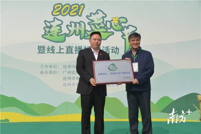 連州菜心獲評“嶺南生態(tài)氣候優(yōu)品”，廣東省氣象局一級巡視員、省氣象學(xué)會理事長梁建茵為連州菜心授牌。張曉欣 攝