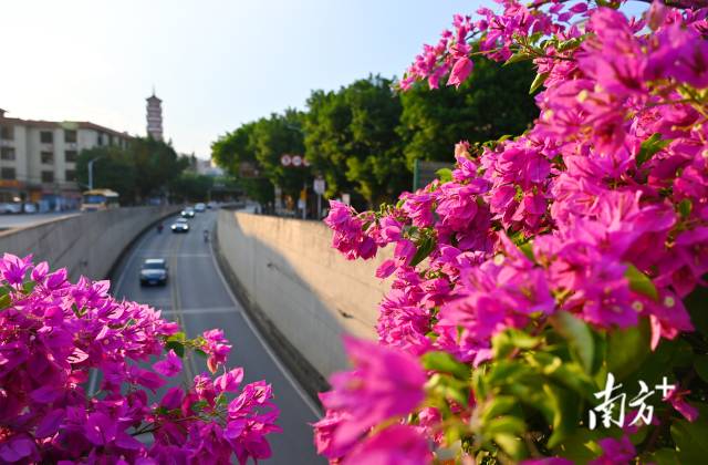 連州織就一張“外聯(lián)內(nèi)暢、城鄉(xiāng)融合”的立體交通藍(lán)圖。黃津 攝