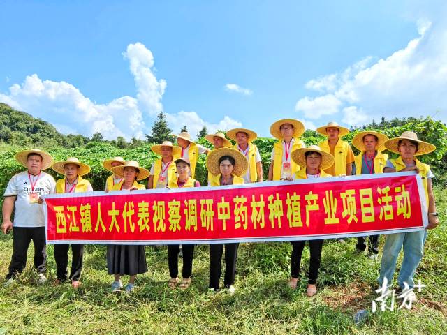 代表們實(shí)地調(diào)研，為產(chǎn)業(yè)振興培育新動(dòng)能。 西江鎮(zhèn) 供圖