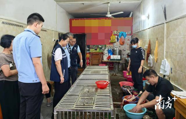 開展聯(lián)合檢查，為鳥類等野生動物撐起堅(jiān)實(shí)的“保護(hù)傘”。